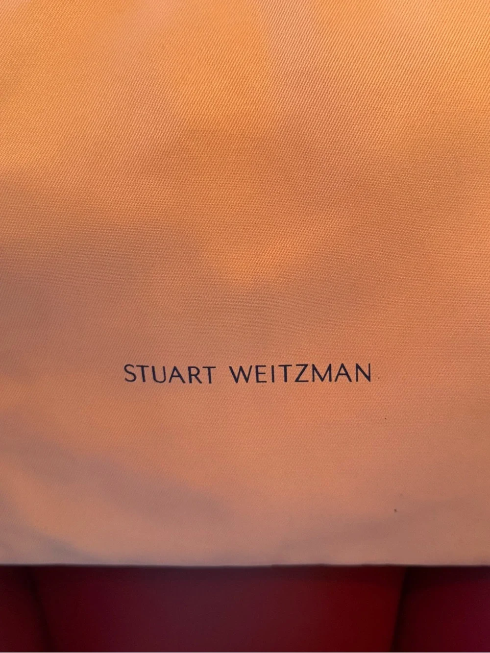 Stuart Weitzman sleek stuart